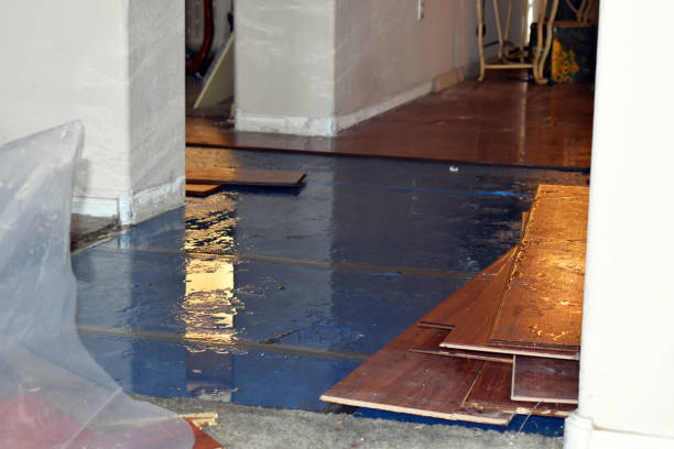 Professional Emergency Water Damage Restoration technician working in New Paris, OH